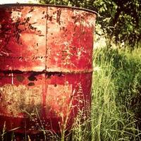 a random picture from 'picsum.photos' website